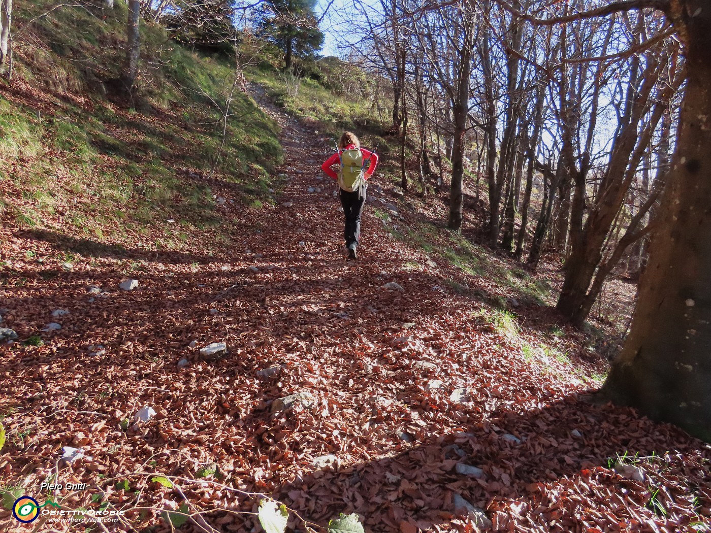 34 Godersi un tappeto di foglie .JPG